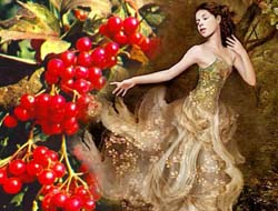 Червона калина