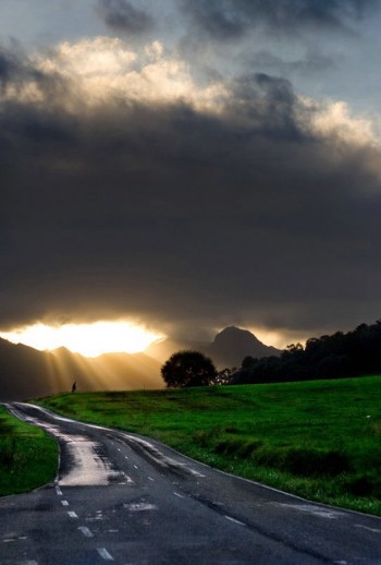 Були ми вдвох - тепер лишились тіні