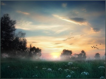 ЩЕ НЕ ОСІНЬ...