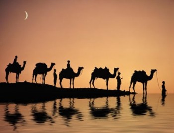 Особенности арабского языка