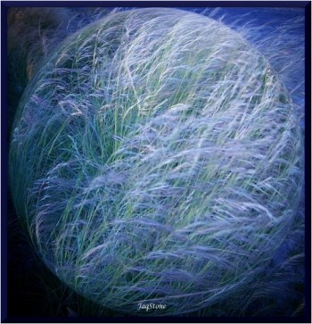 НОКТЮРН У М`ЯТЛИКУ