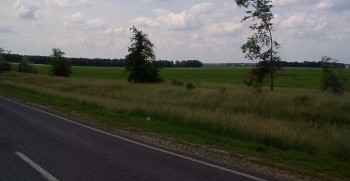 Біля дороги