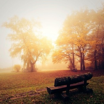 ОСІННІ ПЕРЕДЧУТТЯ