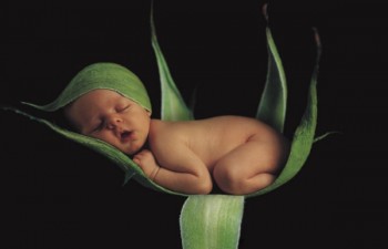 І знову про мрію