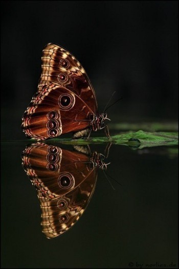 Теплий вечір