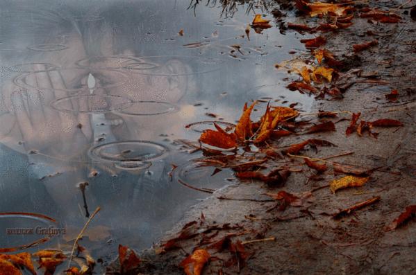 ОСІННІЙ ВІРШ