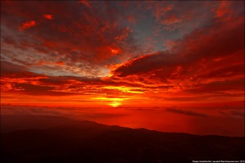 А знаєте чому кава чорна?