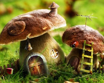 Грибна мана