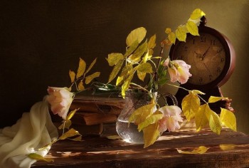 Дискретизація квіткового сну