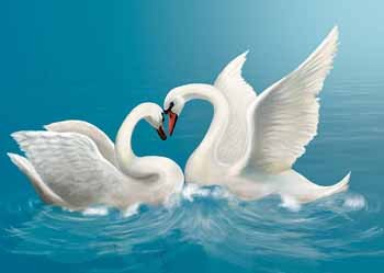 У вирій лебеді летіли