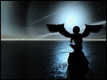 Розправ свої крила