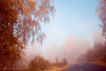 Розстелився туман...