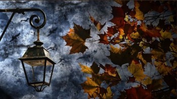 Ноктюрн з ліхтарем