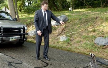 Обзор кино: &laquo;Месть пушистых&raquo; (2010)