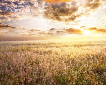 Південне повітря