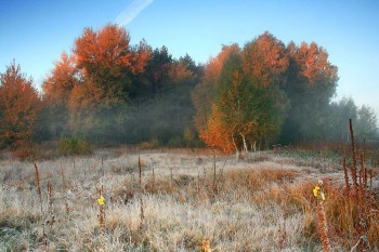 Осіння замальовка