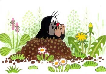 Кріт хазяїн