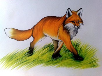 Лис мисливець