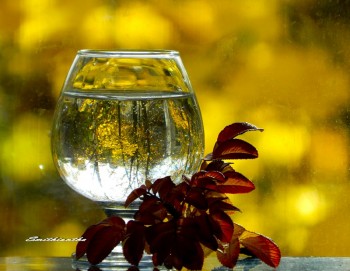 Зупинись, чарівна мить...