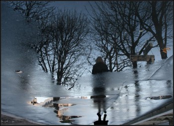 На дні замерзлої калюжі