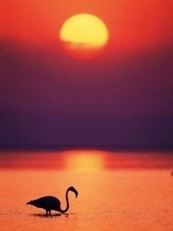 Випадкова зустріч