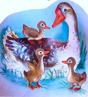 Гусяча доля