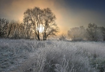 СВІТАННЯ П’ЯНКІ ЧАРИ