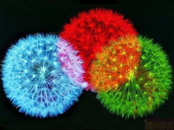 З ДНЕМ НАРОДЖЕННЯ, ПОРТАЛЕ, або Армагедону не буде!