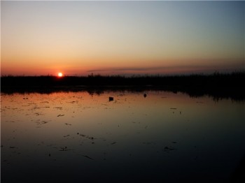 Безсніжний ранок