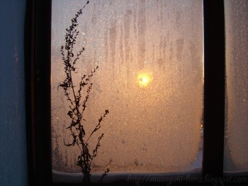 Світанковий екстрим