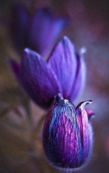 І зміниться усе