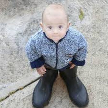 Данилкова реклама