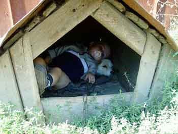 Шаркова сповідь