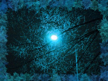 Сон про тебе