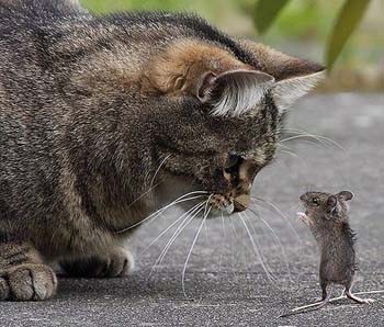 Оце зустріч