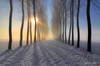 Туману ніжний мотив