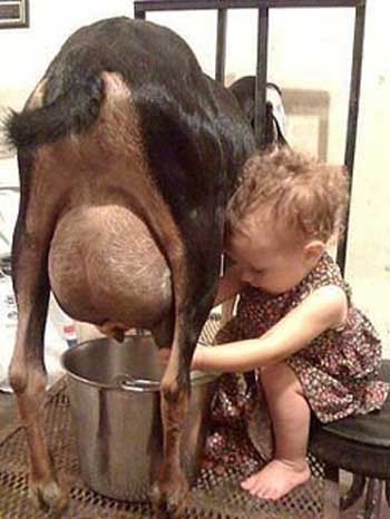 Маленька помічниця