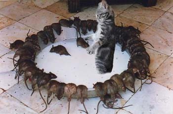 Страшний сон