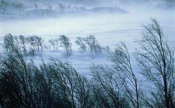 Мете хурделиця