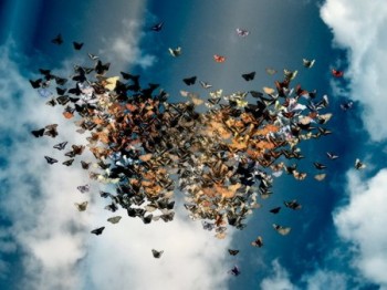 Зелене диво