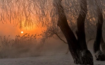 Диво туманних казок