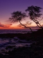 Шевченкове слово