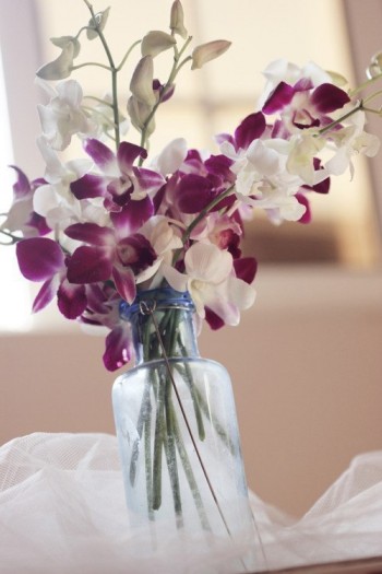 Наточці-Наталочці