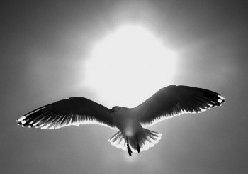 До кОли будемо?