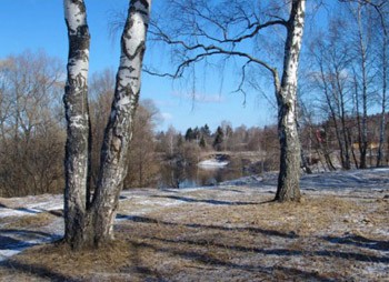 Сніг зійшов