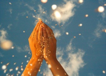 Краплина весняного ясноцвіту