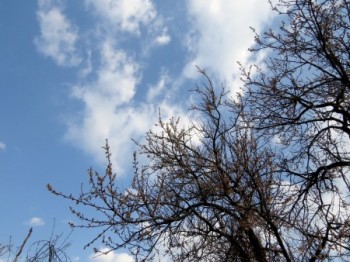 Ласкаве небо сповнене весною