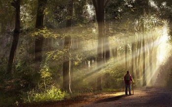 Йшов навпростець