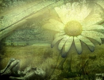 Неволя той рай