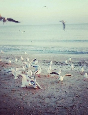 А Крим уже не наш…